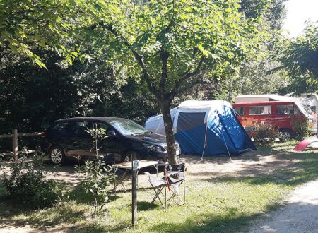 The campsite pitches